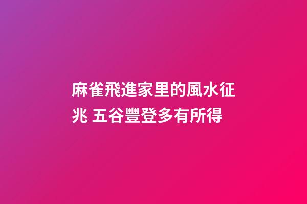 麻雀飛進家里的風水征兆 五谷豐登多有所得